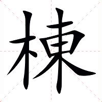 棟 意思|棟的意思，棟字的意思